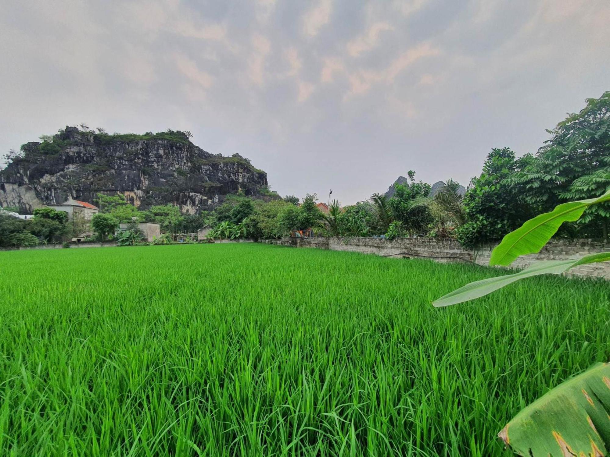 Trang An Garden Bungalow Ninh Binh Exterior foto